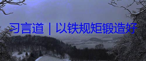 习言道以铁规矩锻造好作风